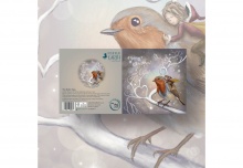 The Robin Fairy - Christmas Card